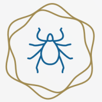 Tick Net Ticknet – Canada's research network for tick-borne zoonotic diseases
